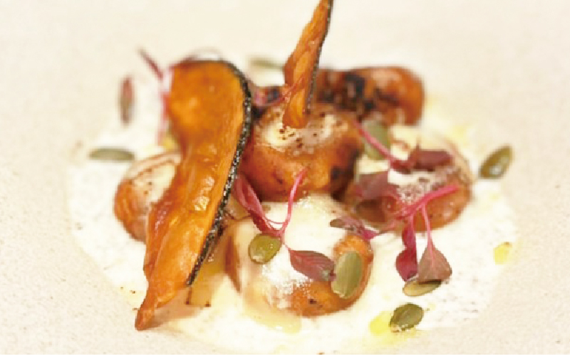 北海道産かぼちゃの揚げニョッキ ～チーズクリームソース～